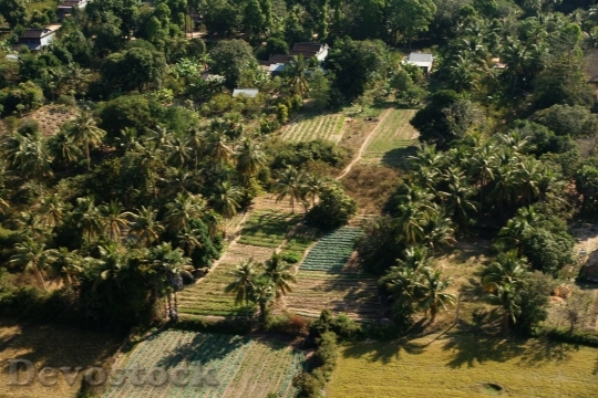 Devostock cambodia-farming-dsc03220