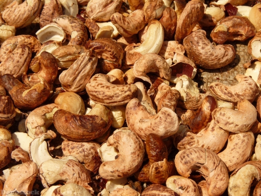 Devostock Cashew nuts  (55)