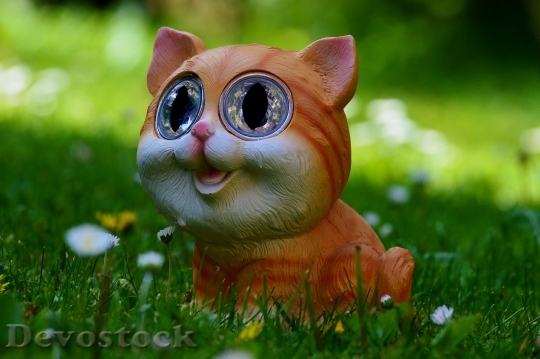 Devostock cat-meadow-cute-funny