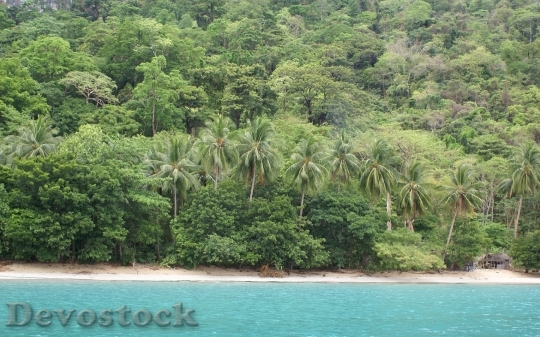 Devostock coconutbeach-dsc06301