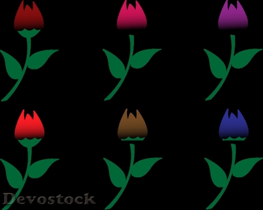 Devostock Colorful roses  (113)