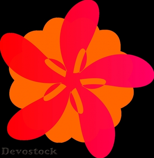 Devostock Colorful roses  (114)