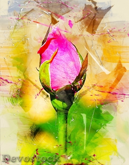 Devostock Colorful roses  (120)