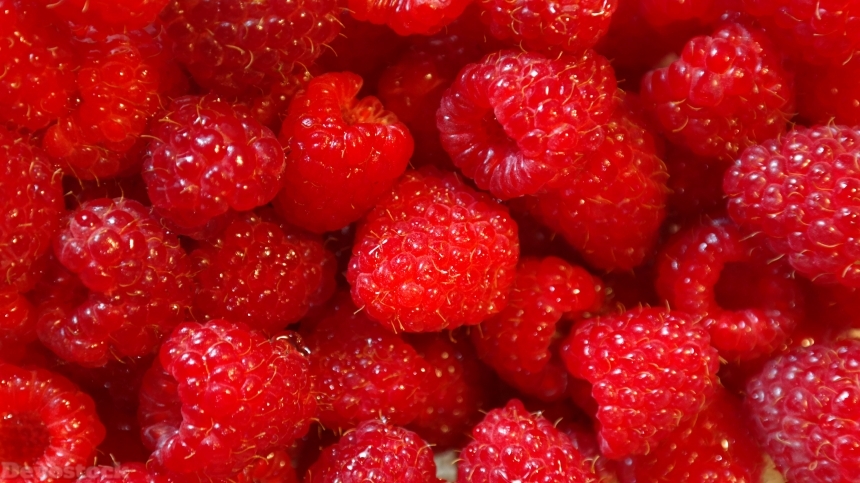 Devostock Delicious red sweet raspberry (3)