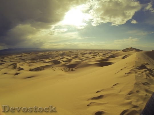 Devostock Desert beautiful image  (101)