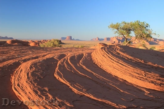 Devostock Desert beautiful image  (102)