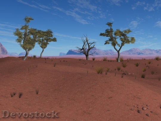 Devostock Desert beautiful image  (112)