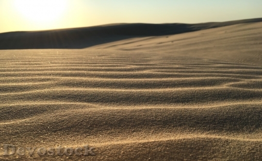 Devostock Desert beautiful image  (117)