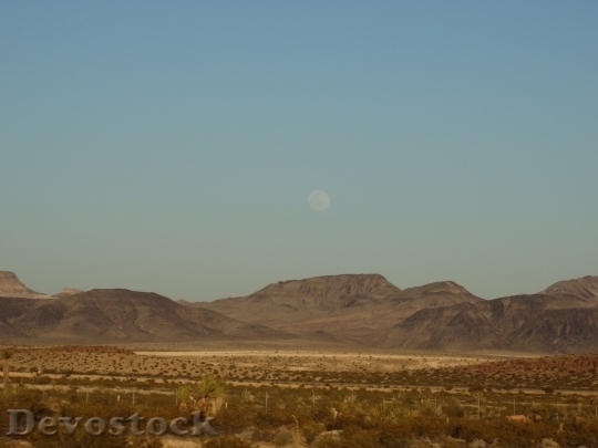 Devostock Desert beautiful image  (119)