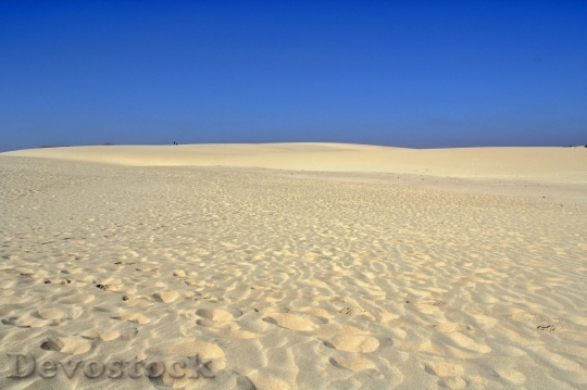 Devostock Desert beautiful image  (120)