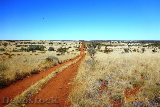 Devostock Desert beautiful image  (122)