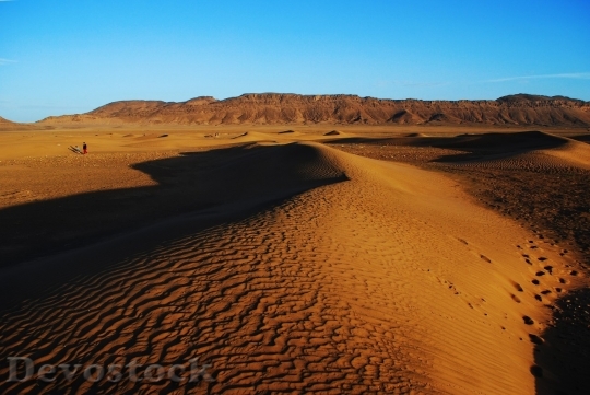 Devostock Desert beautiful image  (123)