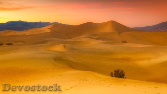 Devostock Desert beautiful image  (124)