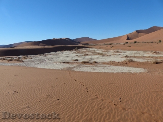 Devostock Desert beautiful image  (128)