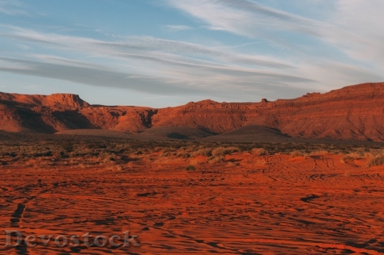 Devostock Desert beautiful image  (131)