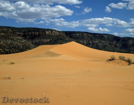Devostock Desert beautiful image  (132)