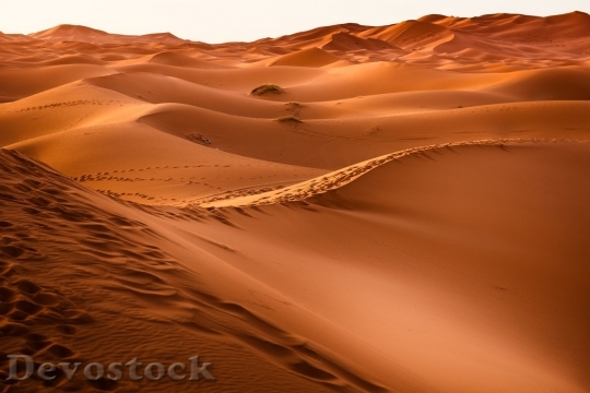 Devostock Desert beautiful image  (137)
