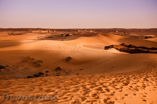 Devostock Desert beautiful image  (138)