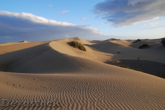 Devostock Desert beautiful image  (139)