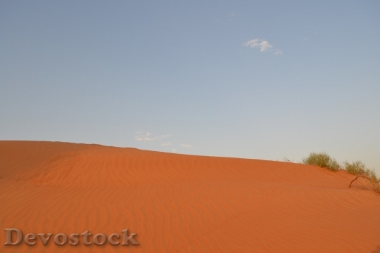 Devostock Desert beautiful image  (140)