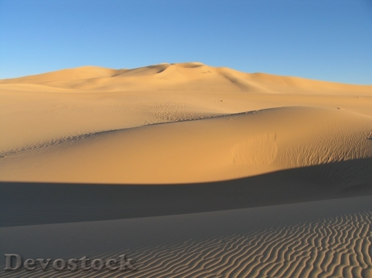 Devostock Desert beautiful image  (145)