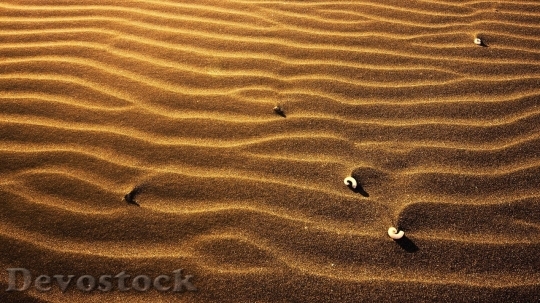 Devostock Desert beautiful image  (147)