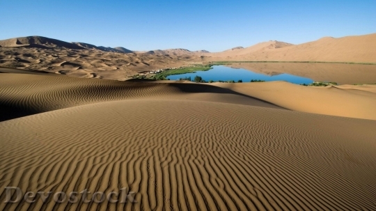 Devostock Desert beautiful image  (155)