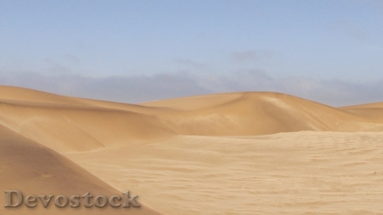 Devostock Desert beautiful image  (169)