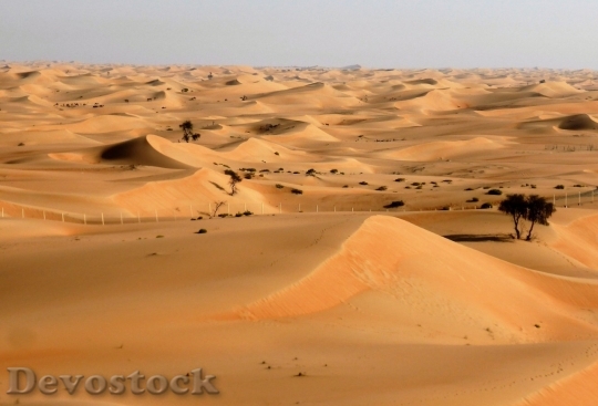Devostock Desert beautiful image  (182)