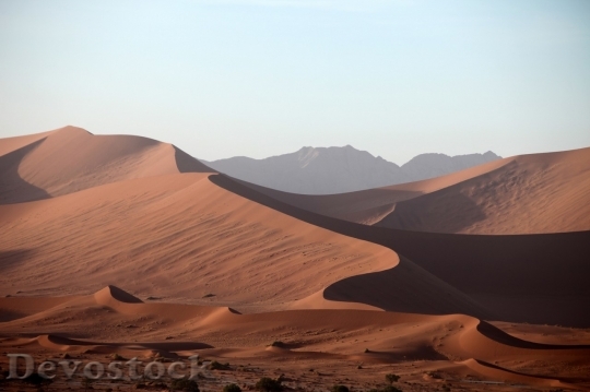 Devostock Desert beautiful image  (183)