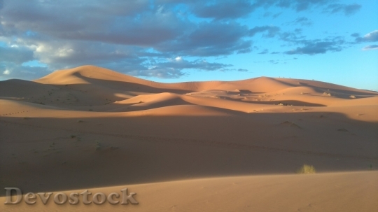 Devostock Desert beautiful image  (185)