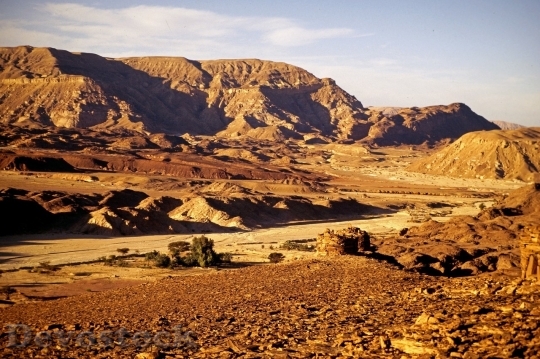 Devostock Desert beautiful image  (188)
