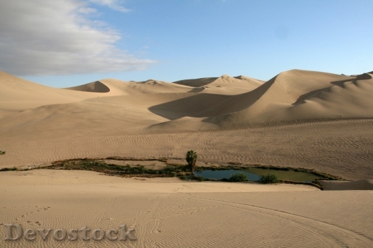 Devostock Desert beautiful image  (195)