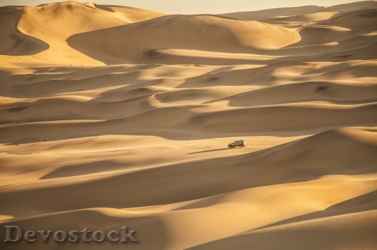 Devostock Desert beautiful image  (196)