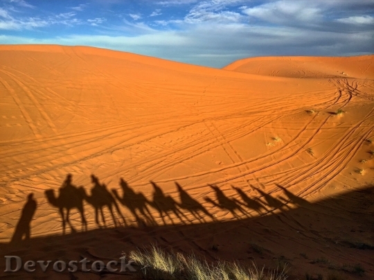 Devostock Desert beautiful image  (197)