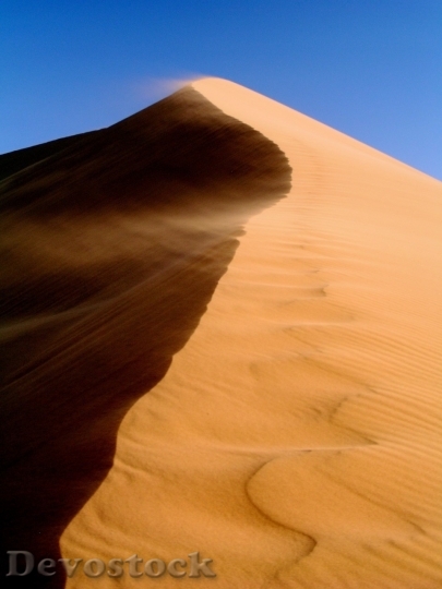 Devostock Desert beautiful image  (207)