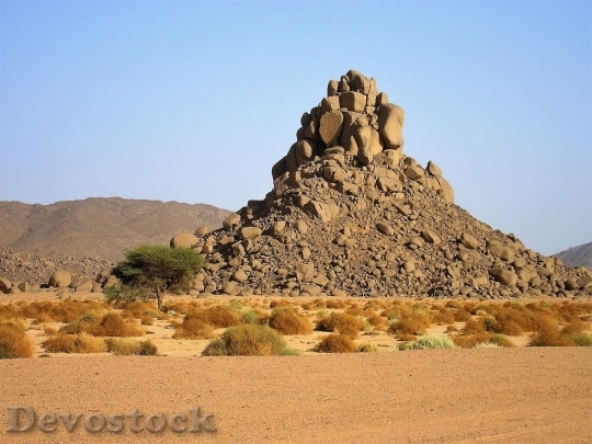 Devostock Desert beautiful image  (208)
