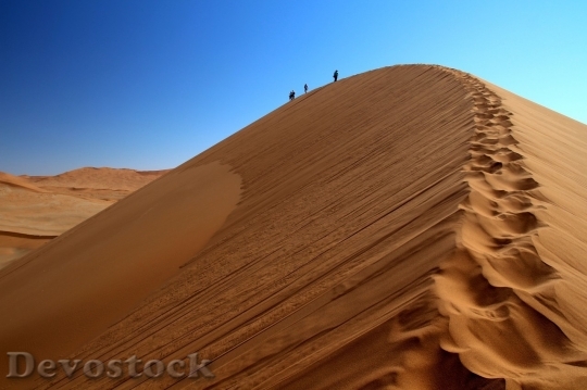 Devostock Desert beautiful image  (212)