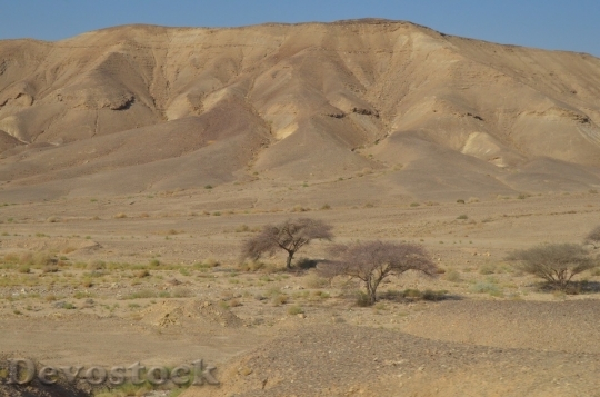 Devostock Desert beautiful image  (220)