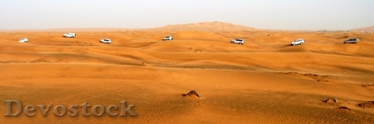 Devostock Desert beautiful image  (221)