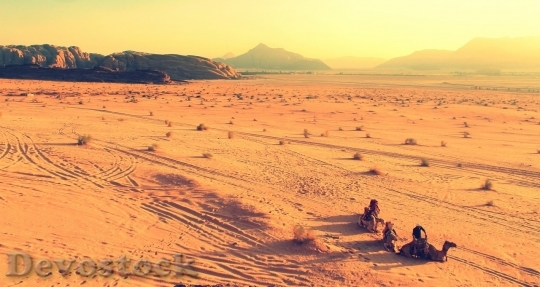 Devostock Desert beautiful image  (222)