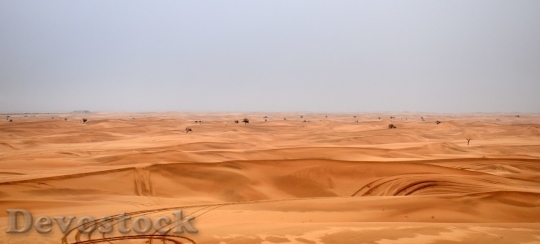 Devostock Desert beautiful image  (228)