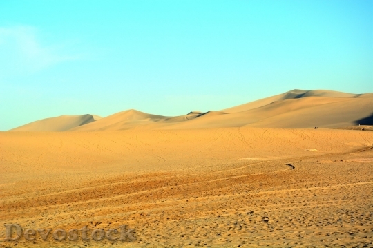 Devostock Desert beautiful image  (231)