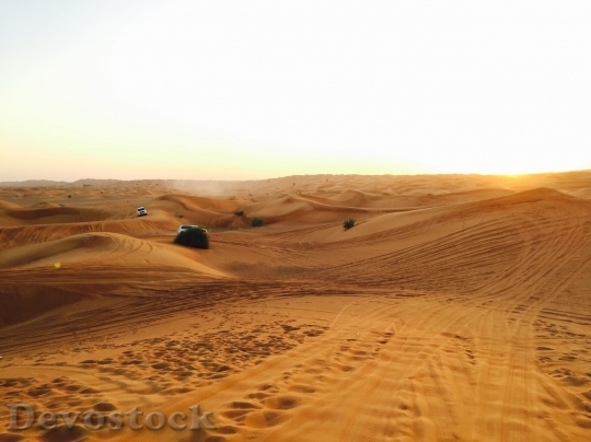 Devostock Desert beautiful image  (236)
