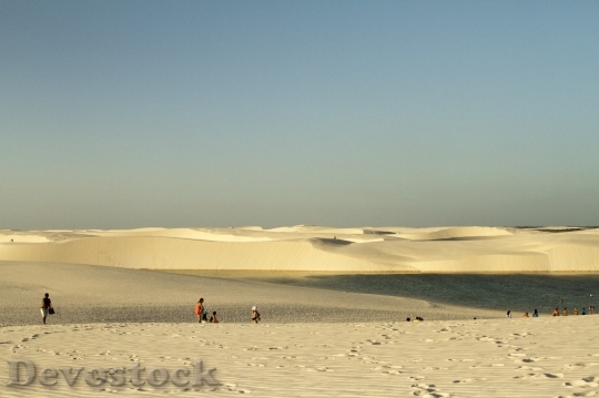 Devostock Desert beautiful image  (240)