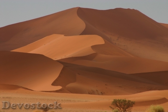 Devostock Desert beautiful image  (241)
