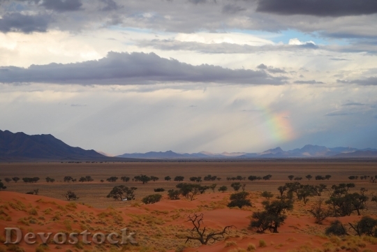 Devostock Desert beautiful image  (248)