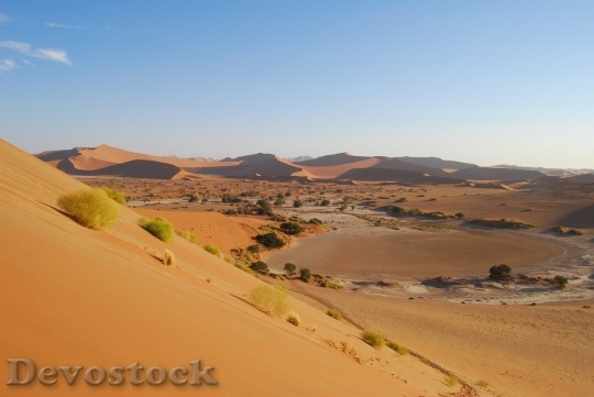 Devostock Desert beautiful image  (26)