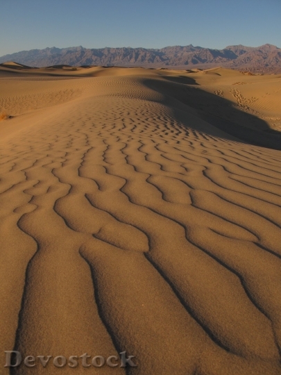 Devostock Desert beautiful image  (260)