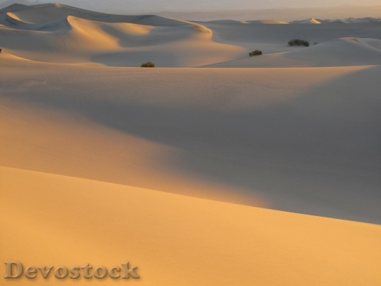 Devostock Desert beautiful image  (261)